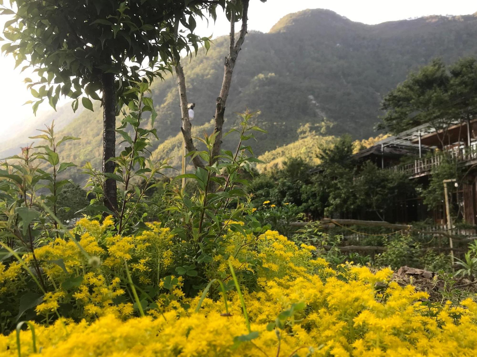 Sau Meo Mountain View Hotel Sa Pa Exterior foto